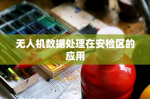 无人机数据处理在安检区的应用