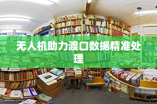 无人机助力渡口数据精准处理