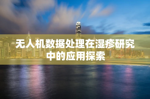 无人机数据处理在湿疹研究中的应用探索