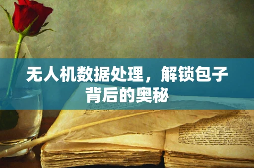 无人机数据处理，解锁包子背后的奥秘