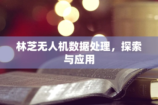 林芝无人机数据处理，探索与应用