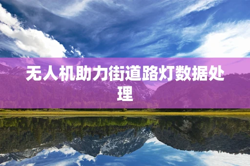 无人机助力街道路灯数据处理