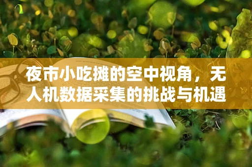 夜市小吃摊的空中视角，无人机数据采集的挑战与机遇