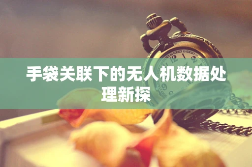 手袋关联下的无人机数据处理新探