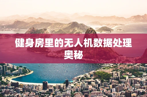 健身房里的无人机数据处理奥秘