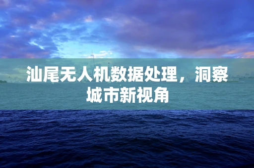 汕尾无人机数据处理，洞察城市新视角