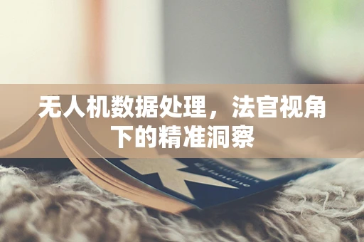 无人机数据处理，法官视角下的精准洞察