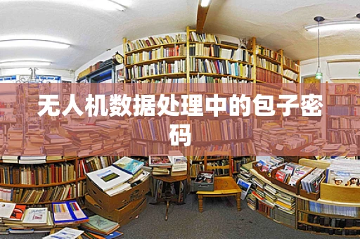 无人机数据处理中的包子密码
