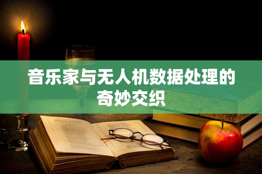 音乐家与无人机数据处理的奇妙交织