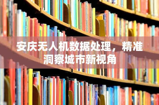 安庆无人机数据处理，精准洞察城市新视角