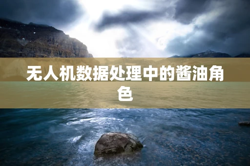 无人机数据处理中的酱油角色