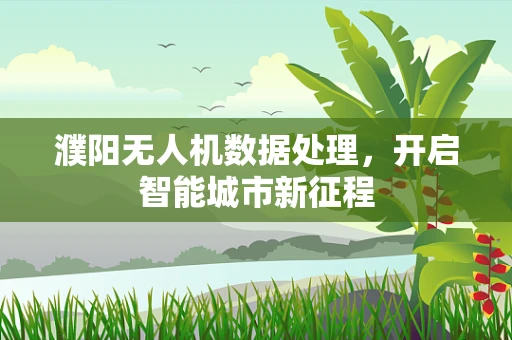濮阳无人机数据处理，开启智能城市新征程