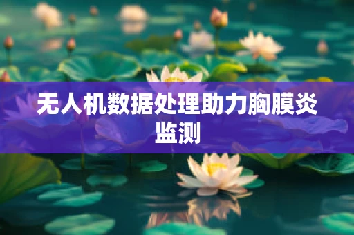 无人机数据处理助力胸膜炎监测