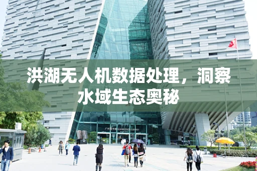 洪湖无人机数据处理，洞察水域生态奥秘