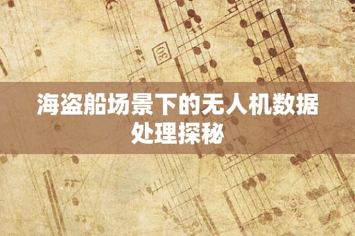 海盗船场景下的无人机数据处理探秘