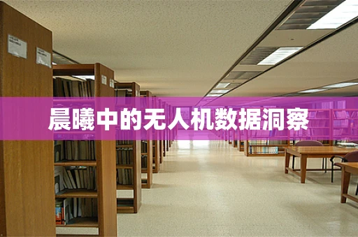 晨曦中的无人机数据洞察