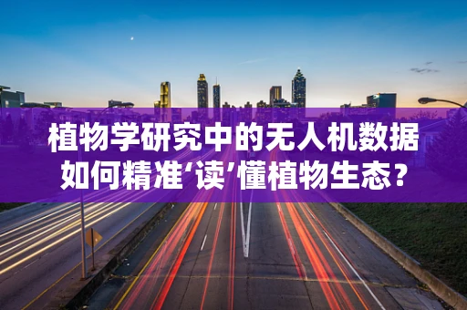 植物学研究中的无人机数据如何精准‘读’懂植物生态？