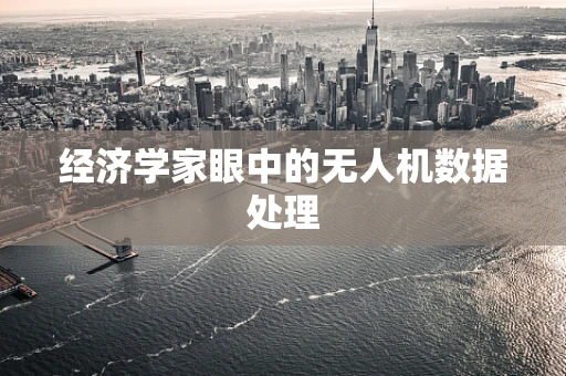 经济学家眼中的无人机数据处理