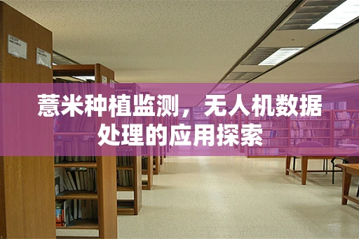 薏米种植监测，无人机数据处理的应用探索