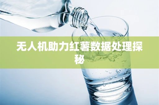 无人机助力红薯数据处理探秘