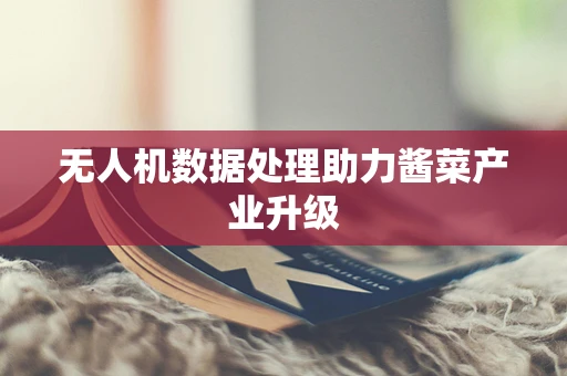无人机数据处理助力酱菜产业升级