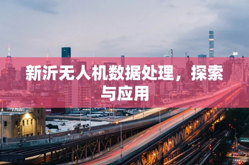新沂无人机数据处理，探索与应用