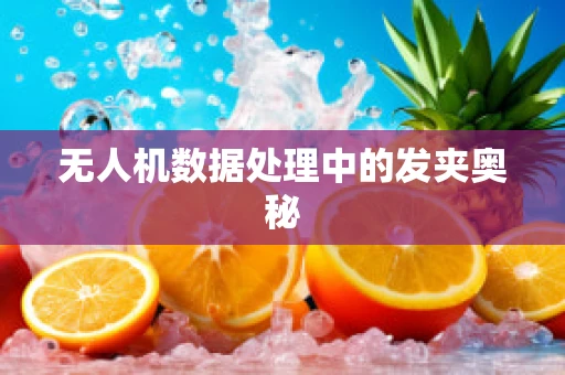 无人机数据处理中的发夹奥秘