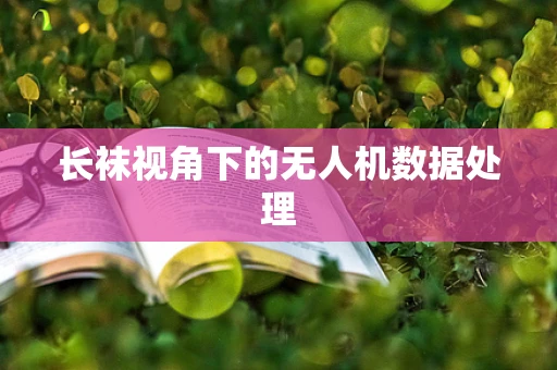 长袜视角下的无人机数据处理