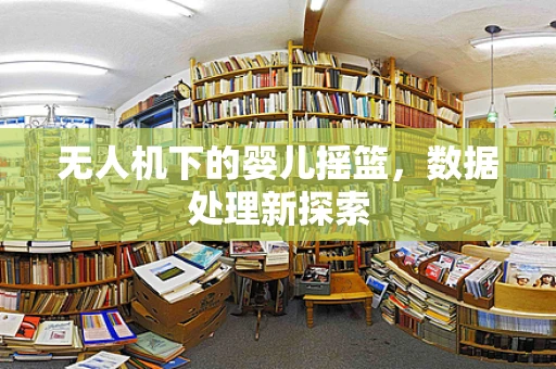 无人机下的婴儿摇篮，数据处理新探索