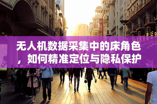 无人机数据采集中的床角色，如何精准定位与隐私保护并重？