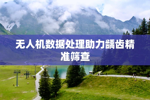 无人机数据处理助力龋齿精准筛查