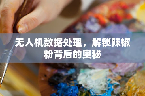 无人机数据处理，解锁辣椒粉背后的奥秘