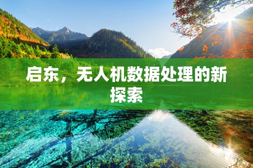启东，无人机数据处理的新探索