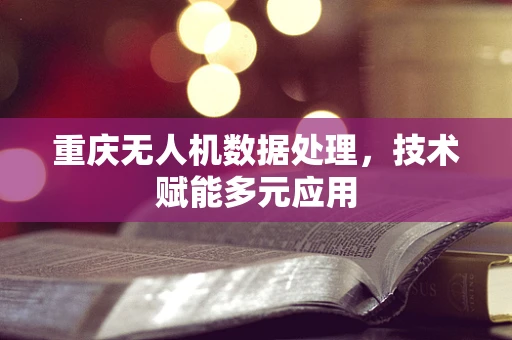 重庆无人机数据处理，技术赋能多元应用