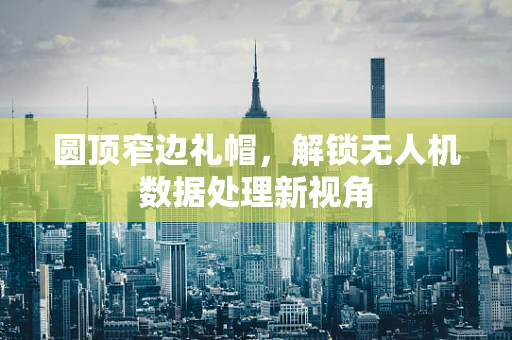 圆顶窄边礼帽，解锁无人机数据处理新视角