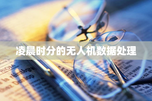 凌晨时分的无人机数据处理