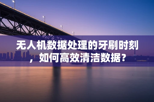 无人机数据处理的牙刷时刻，如何高效清洁数据？