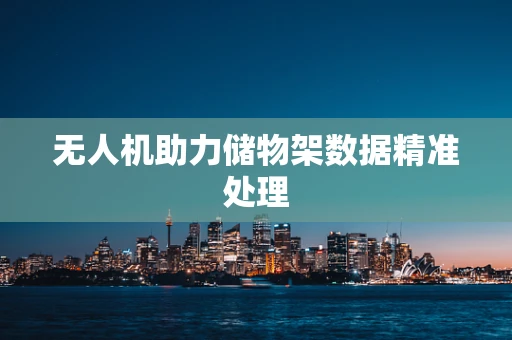 无人机助力储物架数据精准处理