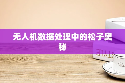 无人机数据处理中的松子奥秘