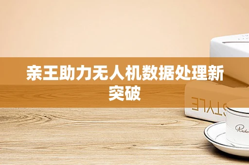 亲王助力无人机数据处理新突破