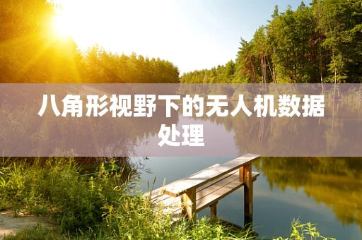 八角形视野下的无人机数据处理
