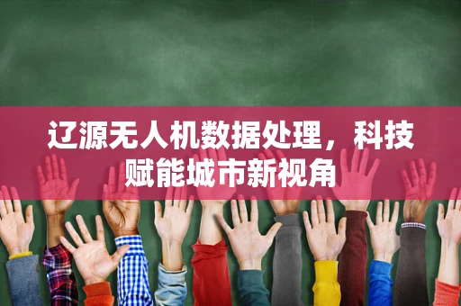 辽源无人机数据处理，科技赋能城市新视角