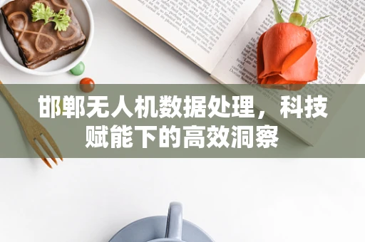 邯郸无人机数据处理，科技赋能下的高效洞察