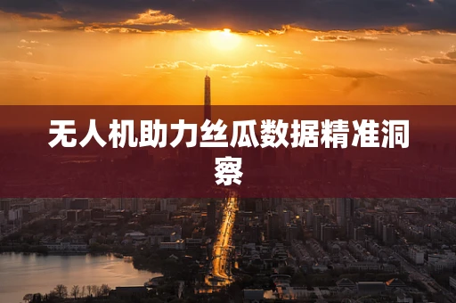 无人机助力丝瓜数据精准洞察
