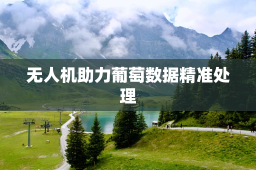 无人机助力葡萄数据精准处理