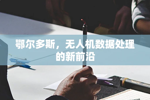 鄂尔多斯，无人机数据处理的新前沿