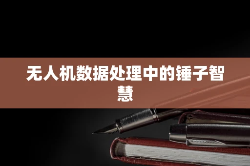 无人机数据处理中的锤子智慧