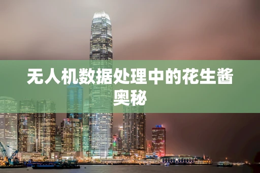 无人机数据处理中的花生酱奥秘