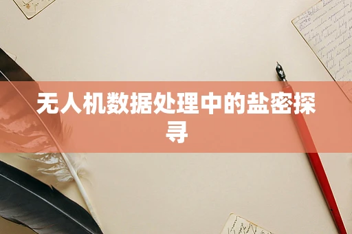无人机数据处理中的盐密探寻