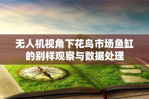无人机视角下花鸟市场鱼缸的别样观察与数据处理